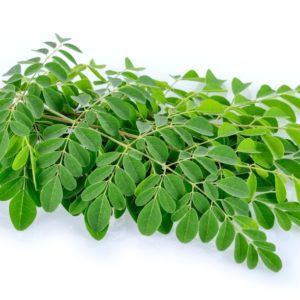 Moringa Leaves Natural Supplement