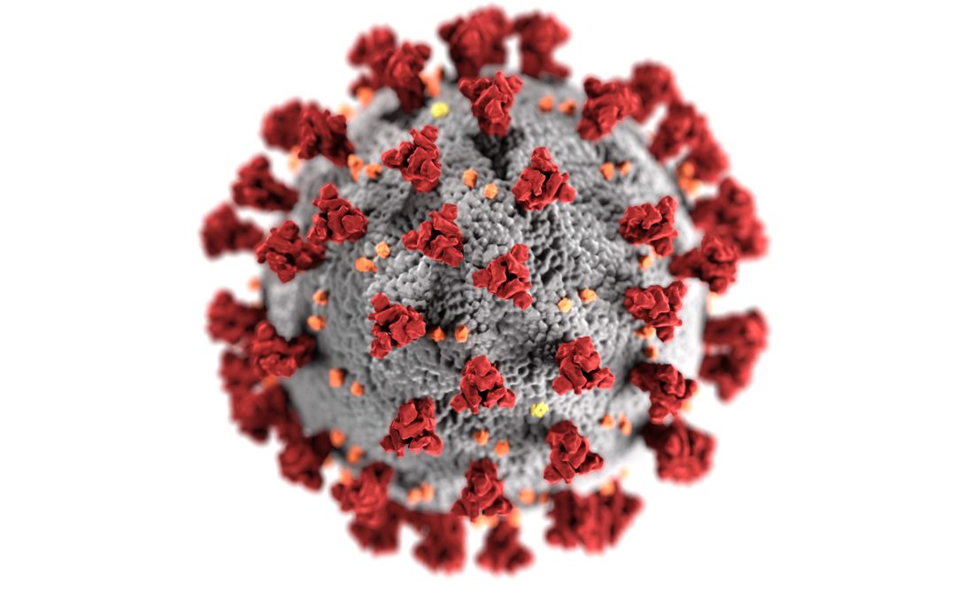 Covid-19 Natural Remedy Virus Natural Treatment Coronavirus